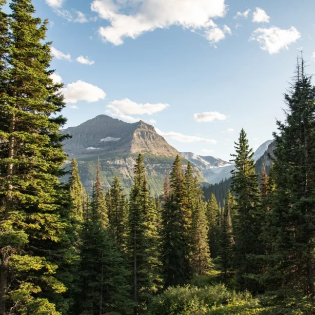 Rocky Mountain scene